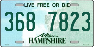 NH license plate 3687823