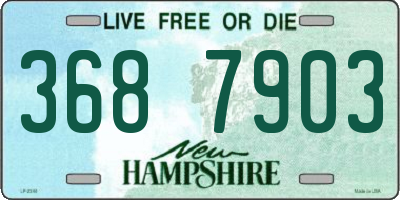 NH license plate 3687903