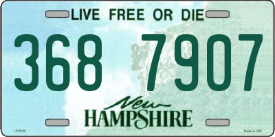 NH license plate 3687907