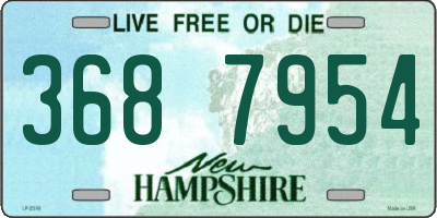 NH license plate 3687954