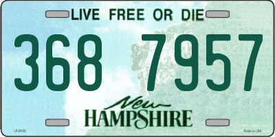 NH license plate 3687957
