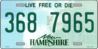 NH license plate 3687965