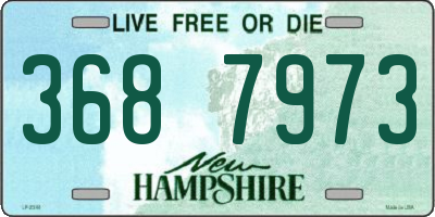 NH license plate 3687973