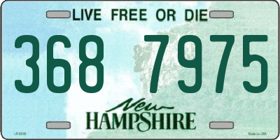 NH license plate 3687975