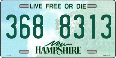 NH license plate 3688313