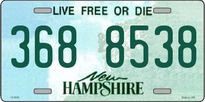 NH license plate 3688538