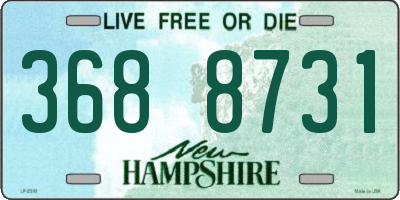 NH license plate 3688731