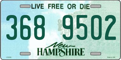 NH license plate 3689502