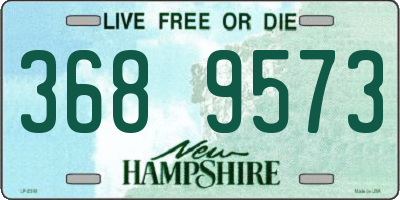 NH license plate 3689573