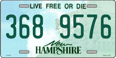 NH license plate 3689576