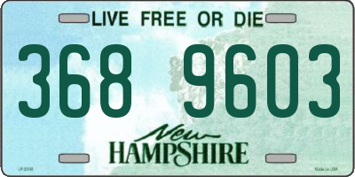 NH license plate 3689603
