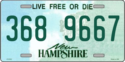 NH license plate 3689667