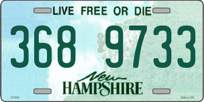 NH license plate 3689733