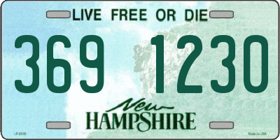 NH license plate 3691230