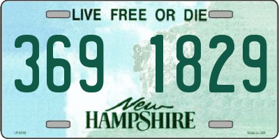 NH license plate 3691829
