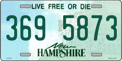 NH license plate 3695873