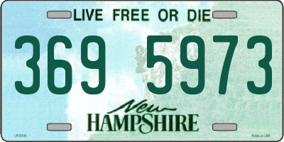 NH license plate 3695973