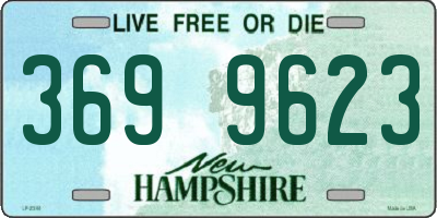 NH license plate 3699623