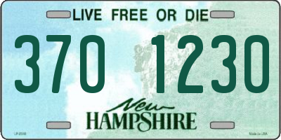 NH license plate 3701230