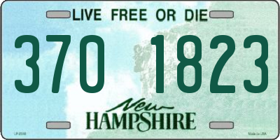 NH license plate 3701823