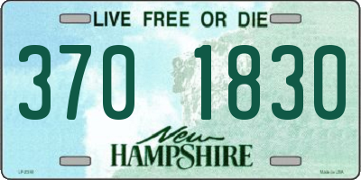 NH license plate 3701830