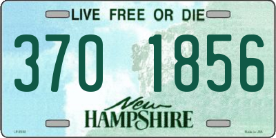 NH license plate 3701856