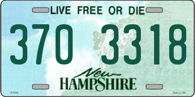 NH license plate 3703318