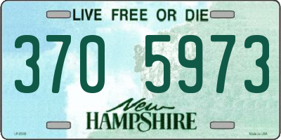 NH license plate 3705973