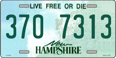 NH license plate 3707313