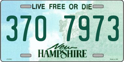 NH license plate 3707973