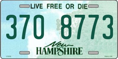 NH license plate 3708773