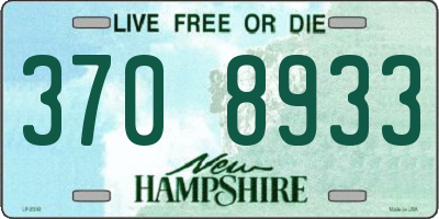 NH license plate 3708933