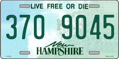 NH license plate 3709045