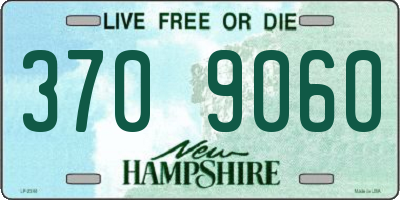 NH license plate 3709060