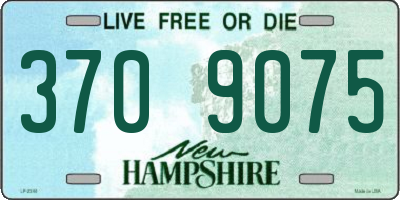 NH license plate 3709075
