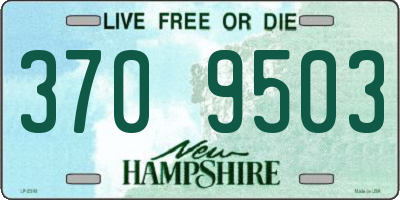 NH license plate 3709503