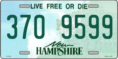 NH license plate 3709599