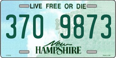 NH license plate 3709873