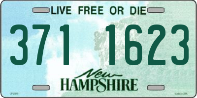 NH license plate 3711623
