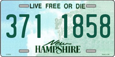 NH license plate 3711858