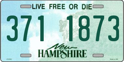 NH license plate 3711873
