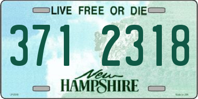 NH license plate 3712318