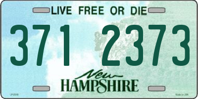 NH license plate 3712373