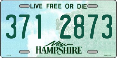 NH license plate 3712873