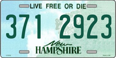 NH license plate 3712923