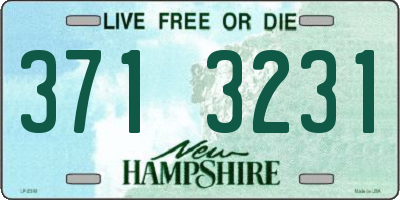 NH license plate 3713231