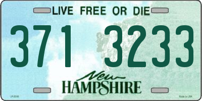 NH license plate 3713233