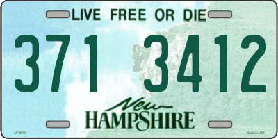 NH license plate 3713412