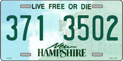 NH license plate 3713502