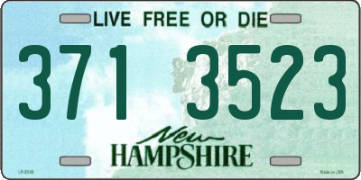 NH license plate 3713523